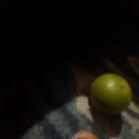 خاک حیوانی گاو وگوسفندی