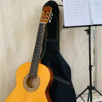 گیتار پارسی مدل m2