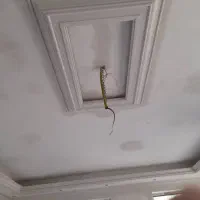 گچکاری و لکه گیری|خدمات پیشه و مهارت|هشتگرد, فاز ۱ مهستان|دیوار