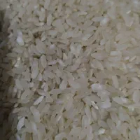 برنج کامفیروزی درجه یک