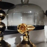 سرویس پذیرایی مشکی نو نو|ظروف سرو و پذیرایی|قم, نیروگاه|دیوار