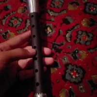 ساز سرنا|سازهای بادی|آبدانان, |دیوار