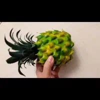 مقداری ظرف و ظروف و...۱۴ ایتم فروش یا معاوضه|ظروف سرو و پذیرایی|تهران, پیکان شهر|دیوار