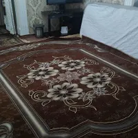 روفرشی ۲ رو مخمل