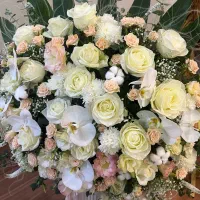 باکس  لاکچری گل طبیعی|گل و گیاه طبیعی|تهران, امانیه|دیوار