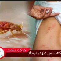 سمپاشی صددرصدتضمینی سم پاشی سوسک وساس و...|خدمات نظافت|تهران, آذری|دیوار