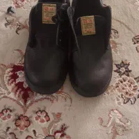 کفش کار