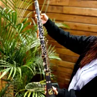 کلارینت بولرا