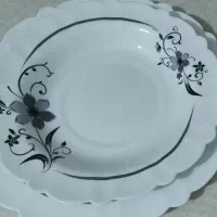 دوسرویس آکروپال6نفره25پارچه