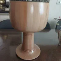 تنبک بردیا بزرگسال