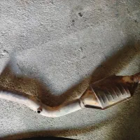 قطعات پژو  و پراید در حد نو