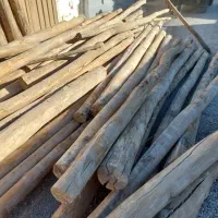 خریدار چوب سقفی|خدمات باغبانی و درختکاری|نجف‌آباد, صالح آباد|دیوار