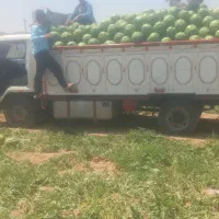 بار کرایه و خرید بار با خاور و نیسان|خدمات حمل و نقل|جیرفت, |دیوار