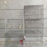 قفس جفت کنی