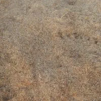 کاه|لوازم جانبی حیوانات|شراء, |دیوار