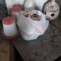 قفس سهره، قناری ، پژاوند ، جوجه پران|لوازم جانبی حیوانات|رباط‌کریم, رباط‌کریم|دیوار