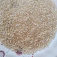 برنج شمشیری و عنبر بو  تنگه شمشه روستای هلسم|خوردنی و آشامیدنی|ایلام, |دیوار