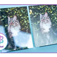 چاپ عکس فوری یک‌روزه|تابلو، نقاشی، عکس|تبریز, |دیوار