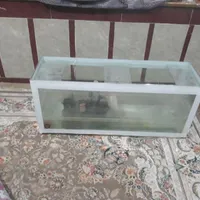 اکواریوم