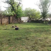 ۳۰۰ نفر خونه و محوطه قابل سکونت با امتیازات کامل|فروش زمین و ملک کلنگی|رشت, یخسازی|دیوار
