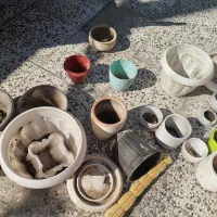گلدان|گل و گیاه طبیعی|مینودشت, |دیوار