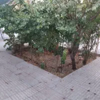 منزل اجاره ای خیابان حکیم صهبا فرعی ۲۷|اجارهٔ خانه و ویلا|شهرضا, |دیوار