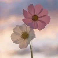 جویای کار درمنزل