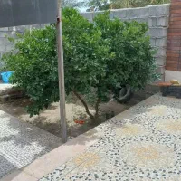 فروش خانه ویلایی جیرفت .کلرود|فروش خانه و ویلا|جیرفت, |دیوار