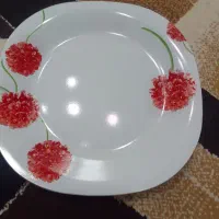 چینی|ظروف سرو و پذیرایی|بیرجند, |دیوار