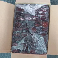 خرمای کبکاب