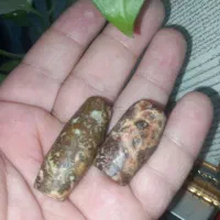 مهره برد سلطانی کهنه