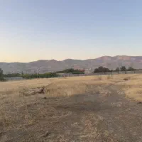 فروش ۶۰۰۰ متر زمین باغ باباریز مناسب باغ و گلخانه|فروش زمین و ملک کلنگی|سنندج, |دیوار