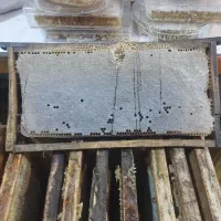 عسل طبیعی روستای آشان