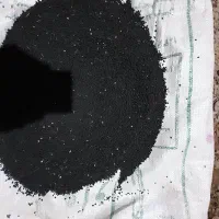 بذر پیاز قرمز|خدمات باغبانی و درختکاری|ملکان, |دیوار