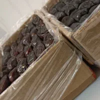 خرما|خوردنی و آشامیدنی|قم, کیوانفر|دیوار