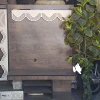 زیر تلویزیون همراه با درخت چه