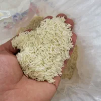 برنج هاشمی لاهیجان