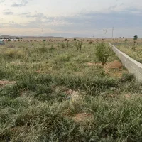 باغچه