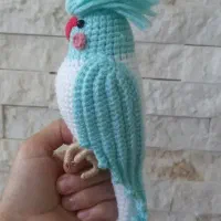 هلندی بافتنی