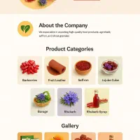 راهنمایی میکنم برای آموزش طراحی سایت