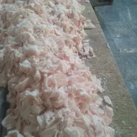 چربی و پروتئین