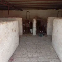 اسطبل اسب