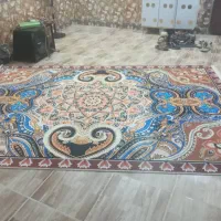 قالی نو از عراق|فرش|اهواز, کمپلو جنوبی|دیوار