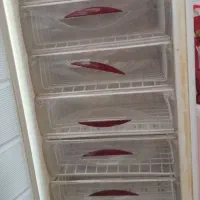 فریزر|یخچال و فریزر|چابهار, |دیوار