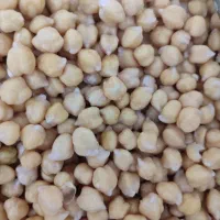 فلافل خانگی|خوردنی و آشامیدنی|مشهد, شهرک صنعتی توس|دیوار