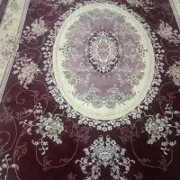 فرش ۶متری|فرش|کرمانشاه, |دیوار