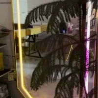 آیینه ایستاده آبکاری شده