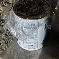 حلب خرما بزمانی (خرما زرد )|خوردنی و آشامیدنی|کرمان, |دیوار