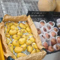 میز کار  میوه فروشی|فروشگاه و مغازه|اندیمشک, |دیوار