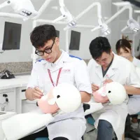 Medicine & Dentistry in China